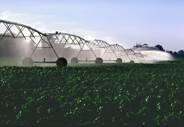 Spray Irrigation