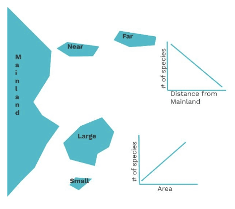 Island Size and Distance Graph
