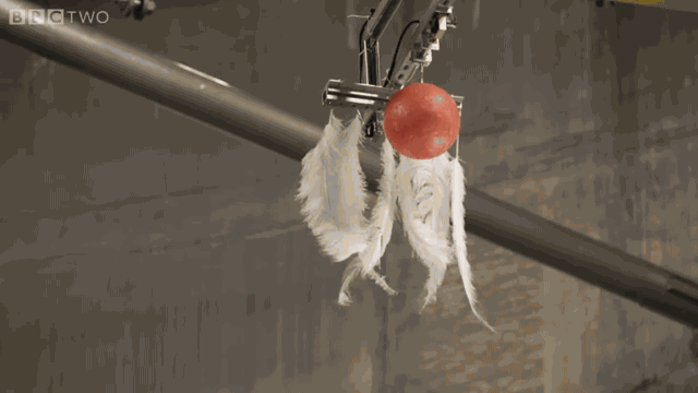 markdown-image