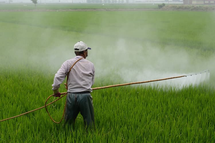 Herbicide Image
