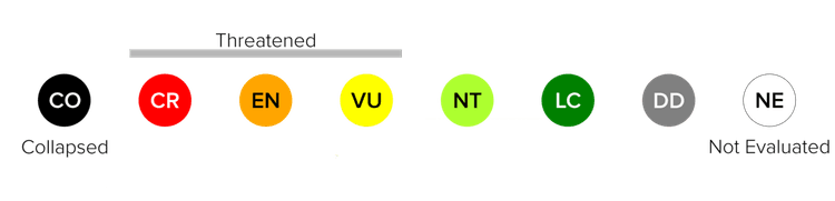 IUCN Categories