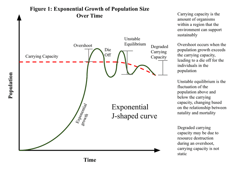Exponential and Logistic Growth