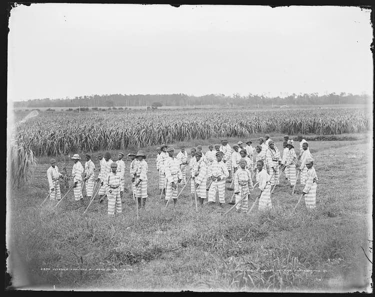 Juvenile Convicts at Work in the Fields, 1903