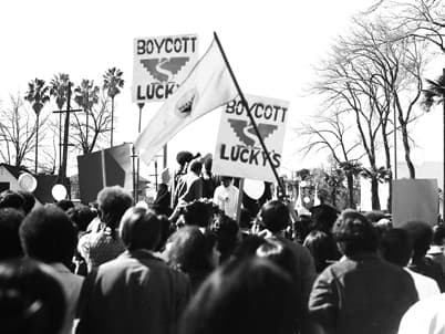 Chicano Rights Marches