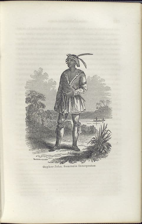 Gopher John, a Black Seminole leader and interpreter, 1863
