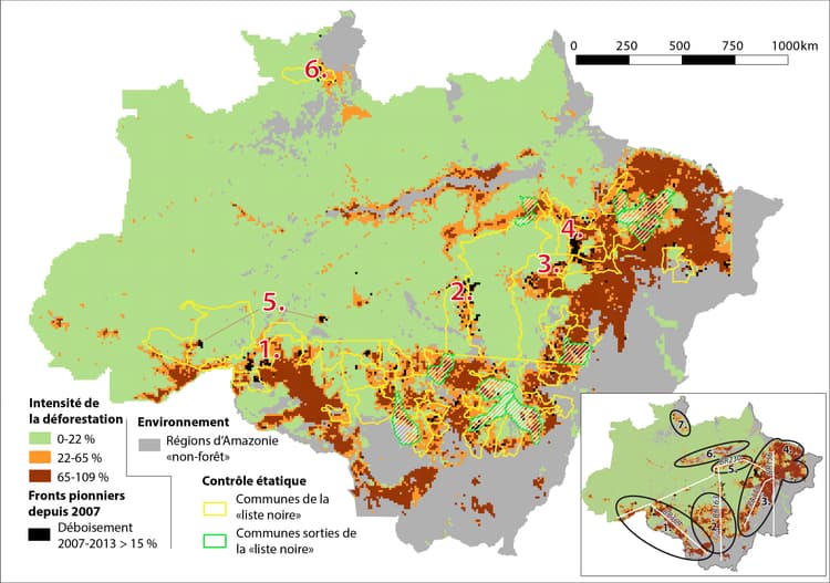 Deforestation of the Amazon Rainforest